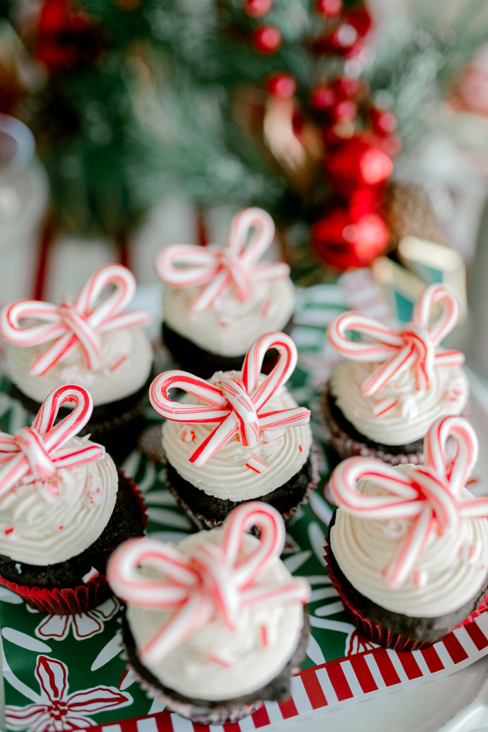 Peppermint Mocha Boozy Cupcakes – Jackson Morgan Southern